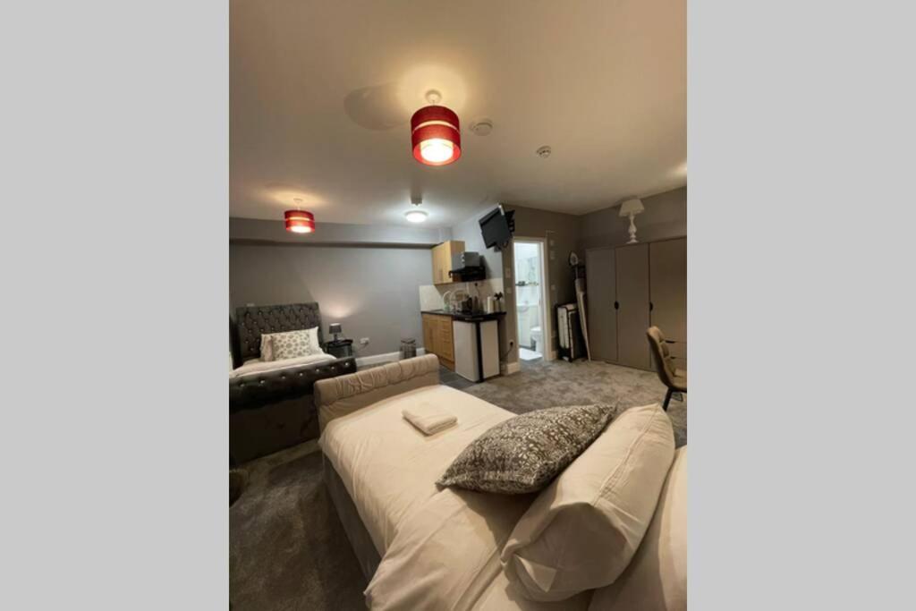 Spacious, Bright Twin Studio Apartment London Eksteriør billede